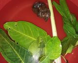 Foto langkah ke 3 dari resep Sampadeh jamur kuping.