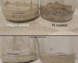 Az én kovászom recept fázis 4 fotója
