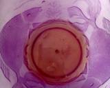 738. Areh Nasi Liwet