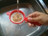 Arroz salvaje con Topping de quinua