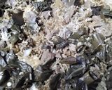A picture of step 11 of Karroo Lamb Biryani.