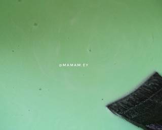 Cendol Ijo Praktis - Step 3