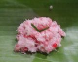 Foto langkah ke 4 dari resep Awug mutiara kelapa.