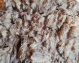 Foto del paso 4 de la receta: Hamburguesas  🐟💕