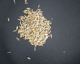 A picture of step 1 of Hemp seeds chutney.