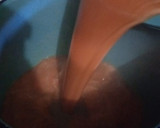 Foto del paso 6 de la receta: GUIÑA DO' BENDABUAA (Molito de camarón) (Mole)