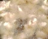 A picture of step 9 of Beef Wontons.