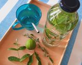 Foto del paso 1 de la receta: Agua fresca con menta, burrito y cedrón 🌿