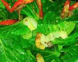 Foto langkah ke 5 dari resep #83 Tumis Cuciwis Teri.