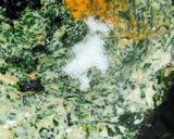 A picture of step 5 of Paneer Methi Chaman.