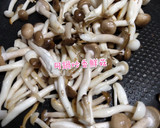 醬燒雞肉菇菇便當的食譜步驟1照片