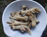 Foto langkah ke 1 dari resep Lodeh Nangka Muda & Ceker Ayam.