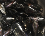 Foto del paso 2 de la receta: Clochinas del Mediterráneoal limón 🍋