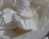 Foto langkah ke 3 dari resep Chiffon Coklat.