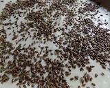 Foto del paso 7 de la receta: Tarta de espinacas, queso y semillas