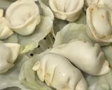A picture of step 9 of Veg Momos.