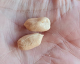 Foto del paso 6 de la receta: Mantequilla de maní 🥜 Pasta de cacahuate 🥜 Crema de cacahuete 🥜