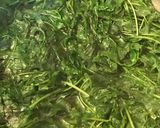 Foto del paso 3 de la receta Hierbas silvestres salteadas (roselles, llicsons i camarotges)