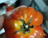 Foto langkah ke 1 dari resep Sambel Mentah yg Super Enduul😍.