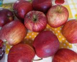 Rebarbarás-epres gyümölcsös kompót házilag 1276 recept fázis 3 fotója