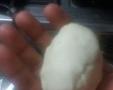 ગાલિઁક નાન (Garlic Nan Recipe in Gujarati) રેસીપી સ્ટેપ2ફોટો