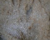A picture of step 5 of Sooji Halwa.