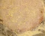 Foto del paso 2 de la receta: Milanesa de 35c.m x 40 c.m
