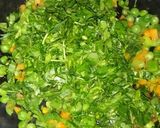 A picture of step 5 of #Methi leaves spongy ball.