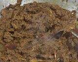 Foto langkah ke 3 dari resep Rendang Daging Sapi.