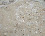 Foto del paso 1 de la receta: Pronto para hornear! Pan sin dificultad!!!