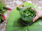 داوود باشا