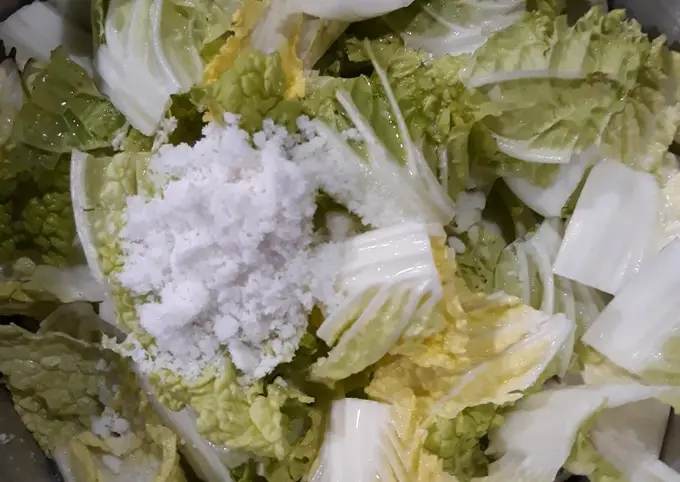 Langkah-langkah untuk membuat Cara membuat Fresh kimchi (Geotjeori) rumahan