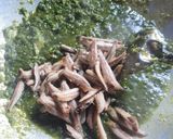 Foto langkah ke 4 dari resep Sambel Cabe Ijo.