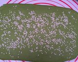 Foto langkah ke 5 dari resep Spinach Grissini Breadstick.