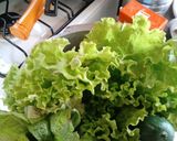 Foto del paso 1 de la receta: Ensalada fresca de verduras!!