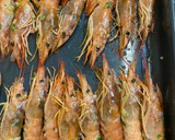 Foto del paso 1 de la receta: Gambón al horno