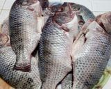 صورة لخطوة 1 من وصفة يا سمك يا موحة 🐬🐙🐬🐬🐙🐬🐙🐬🐙
