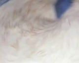 A picture of step 4 of Sheer khurma.