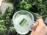 Nha đam đường phèn