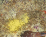 A picture of step 3 of Beans & couscous.