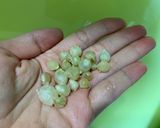 Hình bước làm 1 của món Gà nấu xáo Nghệ An