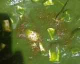A picture of step 7 of Palak paneer.