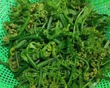 Foto langkah ke 1 dari resep Gulai Pakis Kikil.