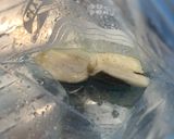 Foto del paso 5 de la receta: Bacalao a baja temperatura con puré de patata al pimentón