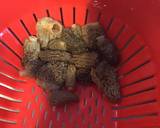 Velouté au foie gras et morilles fraîches