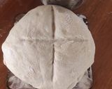 Foto del paso 4 de la receta: Pan o pizza con poolish