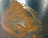 A picture of step 1 of Spicy mutton leg roast.