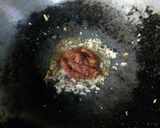 รูปขั้นตอนการทำที่ 1 ของ ผัดเผ็ดหมูสับพริกไทยอ่อน