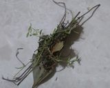 Foto del paso 5 de la receta: Lomo de cerdo con ciruelas