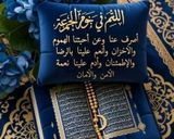 صورة لخطوة 5 من وصفة أرز 🍚في الفرن بأجنحة الدجاج 🐔